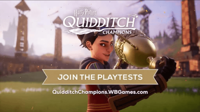 Harry Potter Quidditch Champions